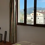 Calao * Shkodër