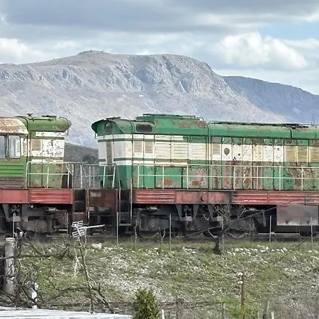 Auberge de jeunesse Calao Shkodër