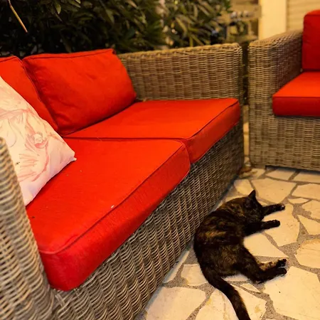 Auberge de jeunesse Calao Shkodër