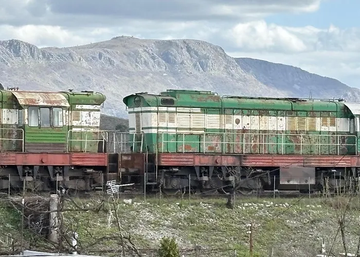 Ostello Calao Shkodër