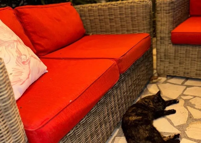 Ostello Calao Shkodër